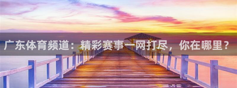 说球帝录像回放：广东体育频道：精彩赛事一网打尽，你在哪里？