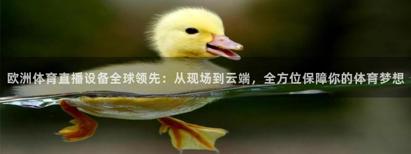 说球帝在线观看nba免费直播