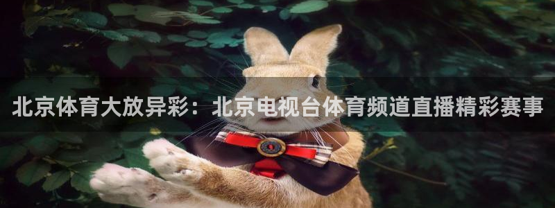 说球帝足球篮球五大联赛：北京体育大放异彩：北京电视台体育频道直播精彩赛事