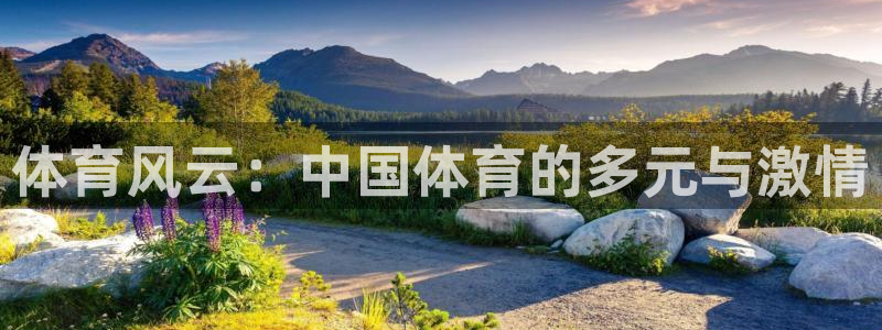 说球帝足球篮球五大联赛：体育风云：中国体育的多元与激情