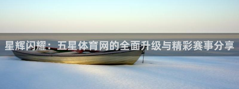 说球帝app下载旧版本看球帝：星辉闪耀：五星体育网的全面升级与精彩赛事分享