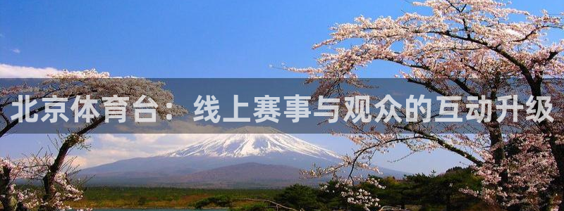 说球帝app下载：北京体育台：线上赛事与观众的互动升级