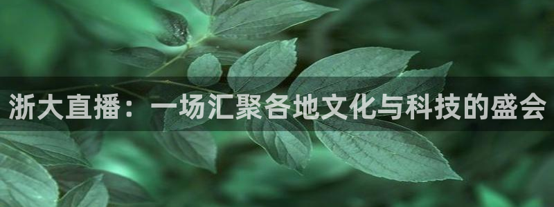 说球帝球赛在线直播：浙大直播：一场汇聚各地文化与科技的盛会