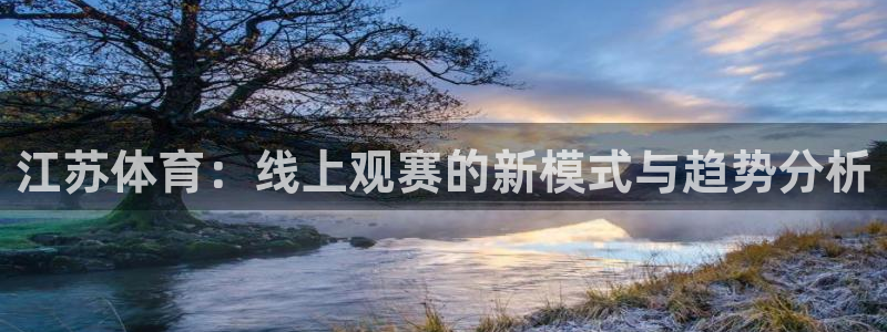 说球帝高清直播：江苏体育：线上观赛的新模式与趋势分析